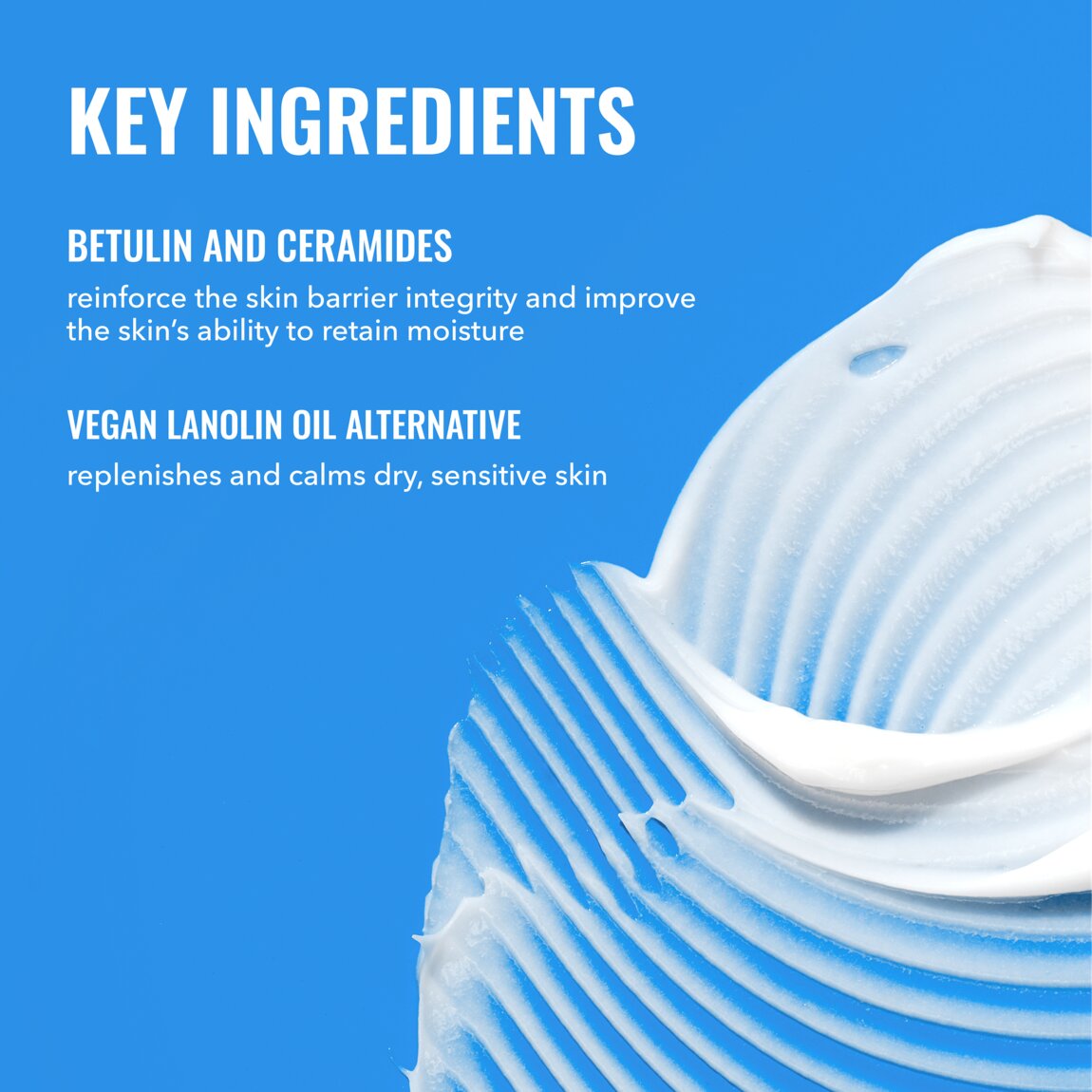 Rich Cream with Ceramides Y8